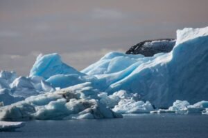 Photos-of-Antarctic-Icebergs-22