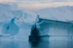 Photos-of-Antarctic-Icebergs-38
