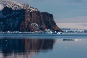 Photos-of-Antarctic-Wildlife-13