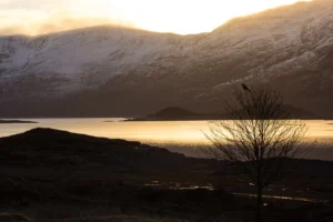Scottish-Highlands3