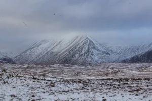 Scottish-Highlands41