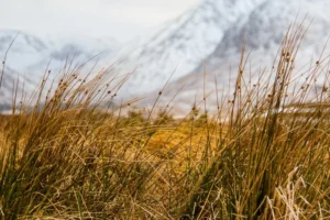 Scottish-Highlands48