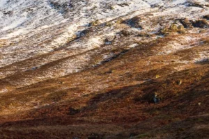 Scottish-Highlands6